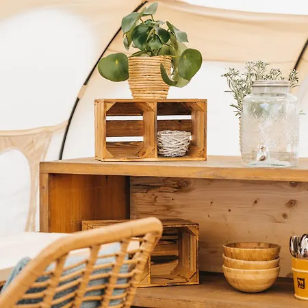 Tcs Pop-up Glamping
